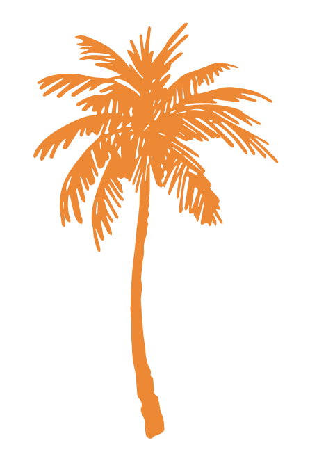 2022-07-17_Summer-In-The-Psalms_WEB_Palm-Tree
