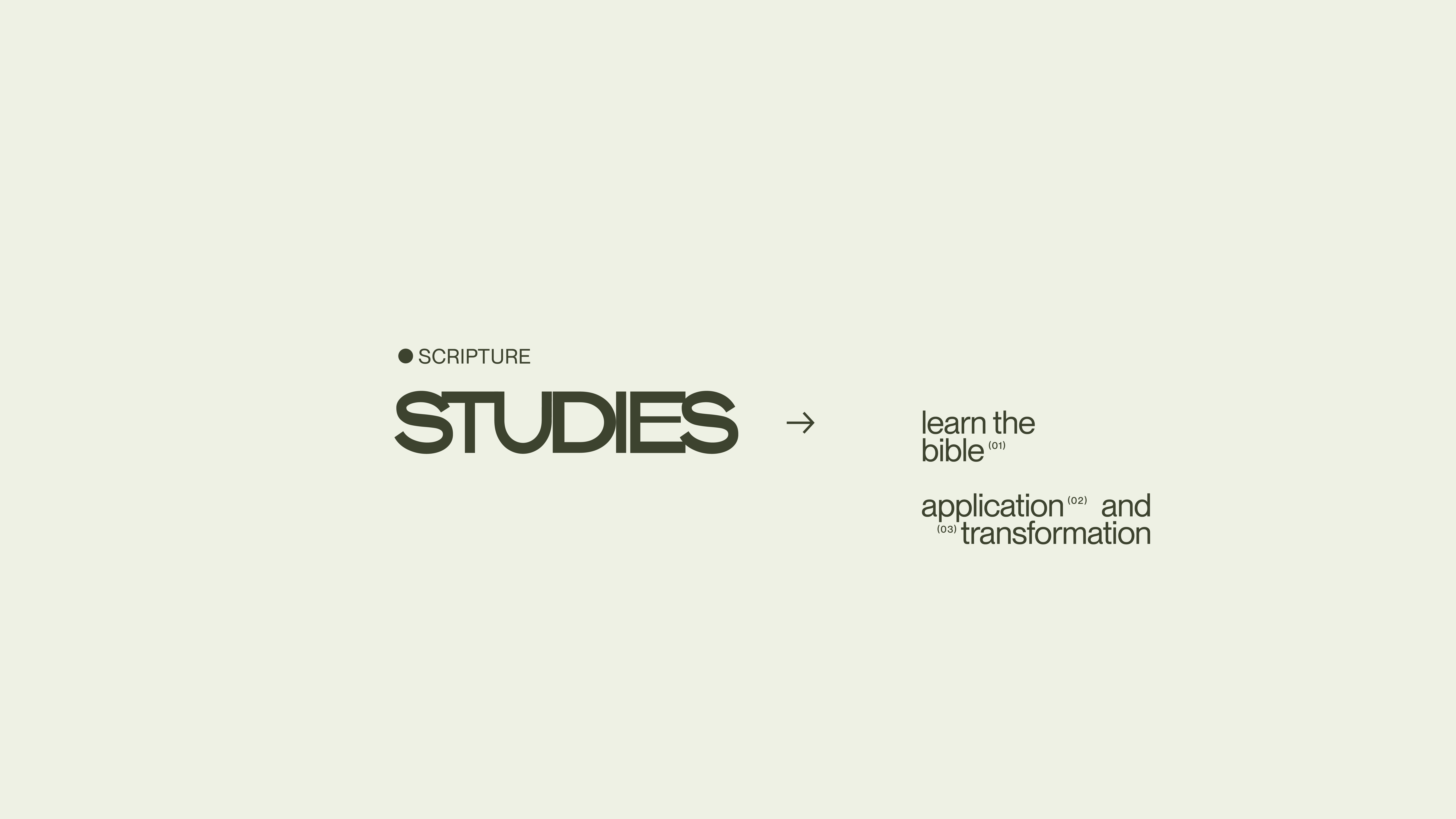 2023—Fall Seasonal Branding_STUDIES